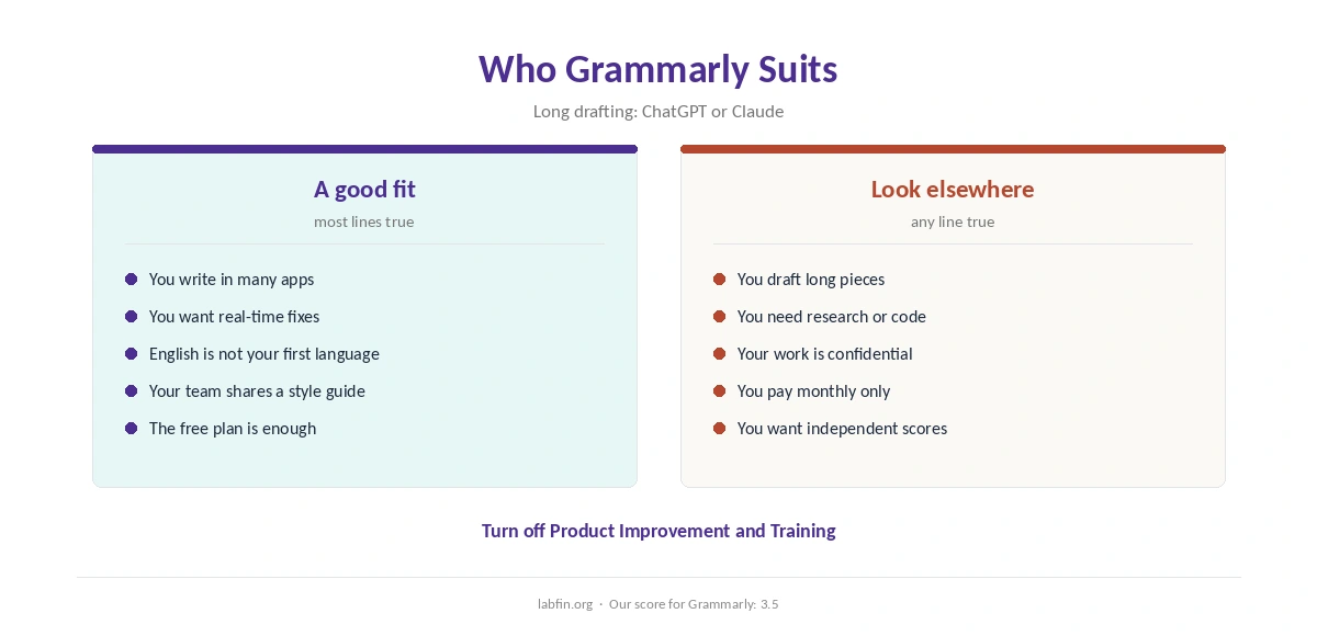 Who Grammarly suits and who should use a general AI assistant instead